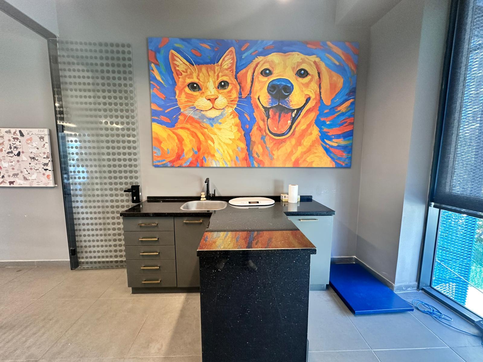 Lacivert Veteriner Klinik Görsel 11