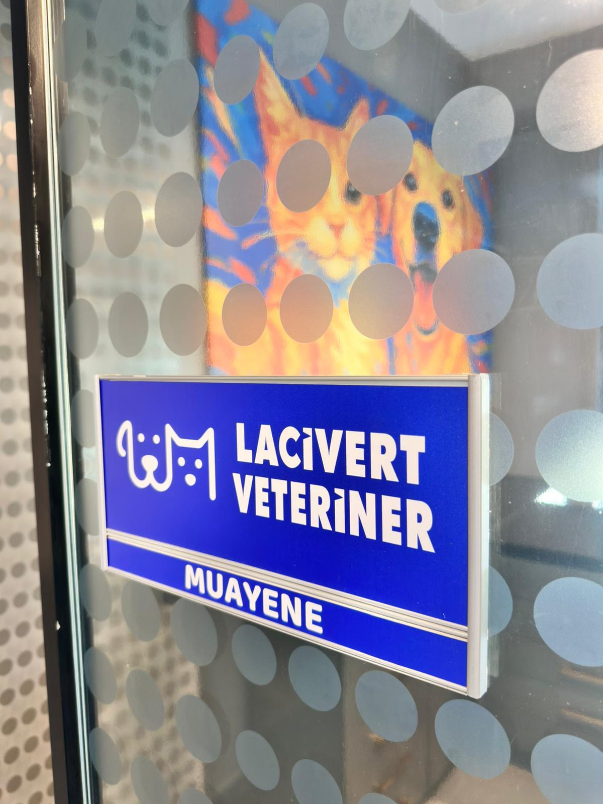 Lacivert Veteriner Klinik Görsel 14