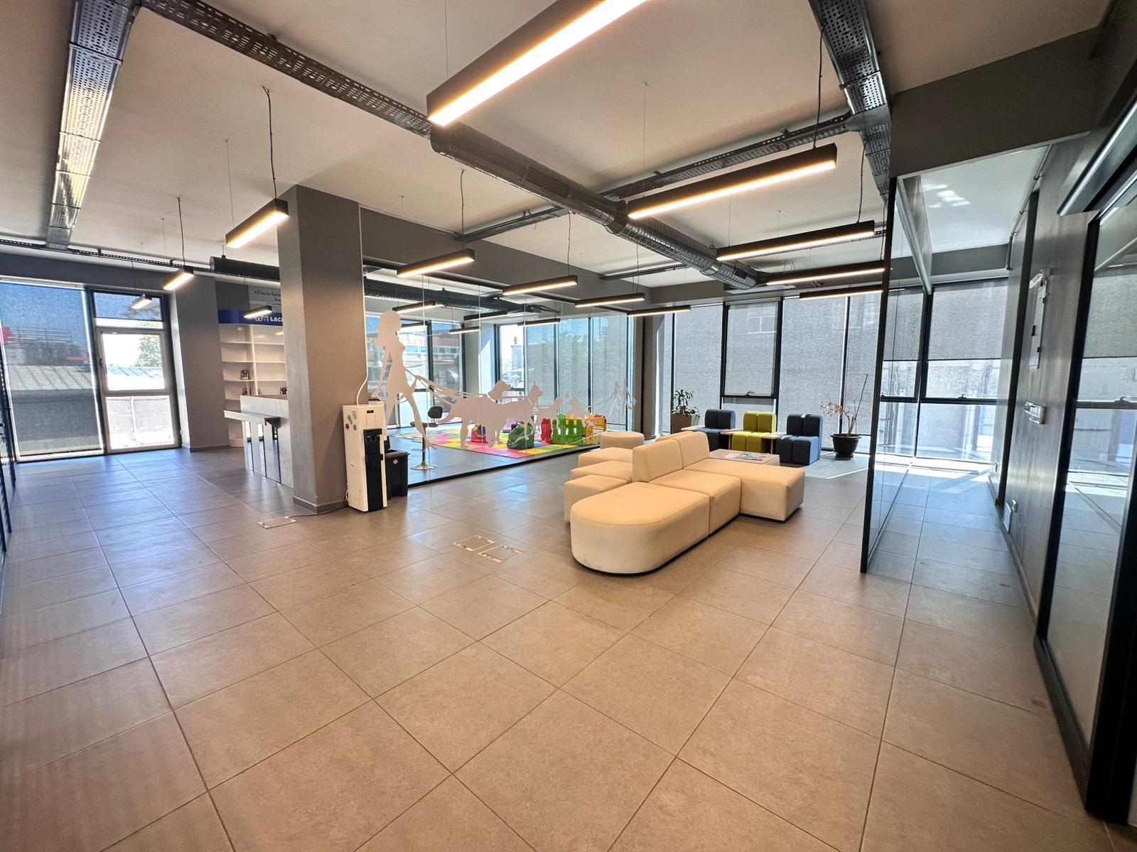 Lacivert Veteriner Klinik Görsel 22