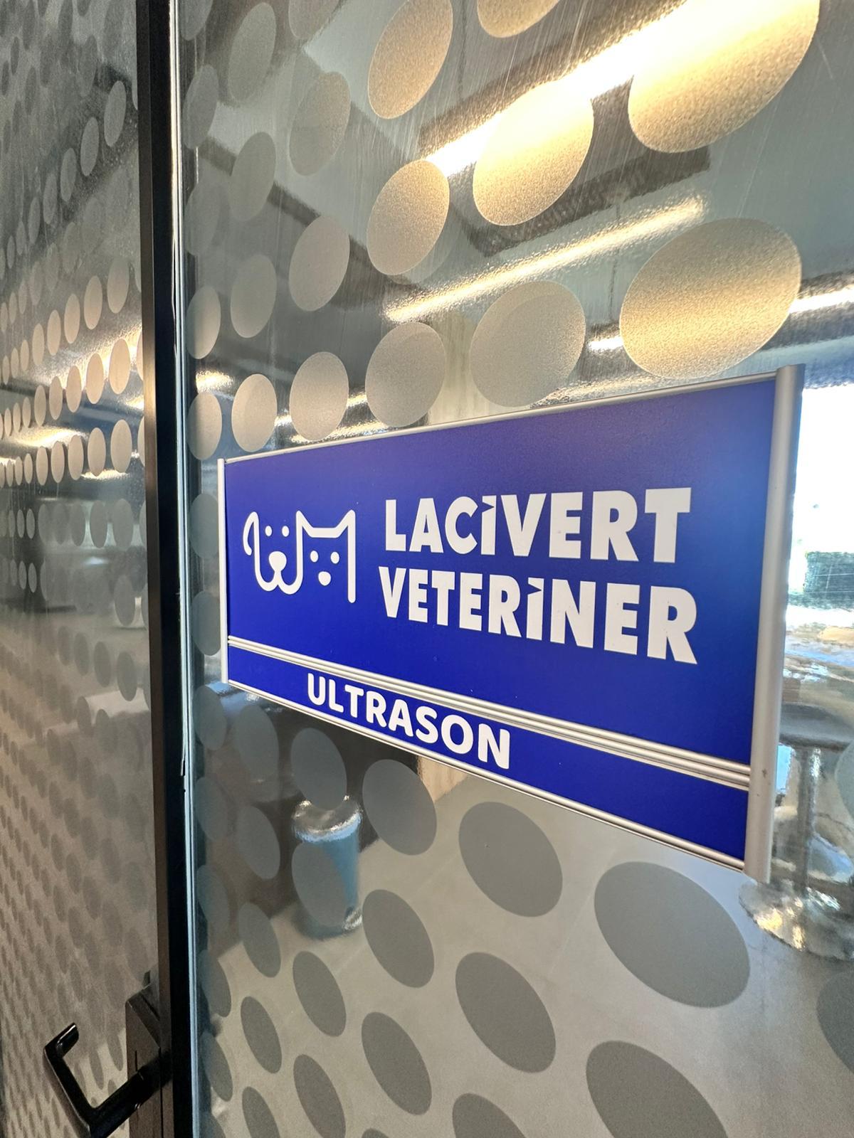 Lacivert Veteriner Klinik Görsel 26