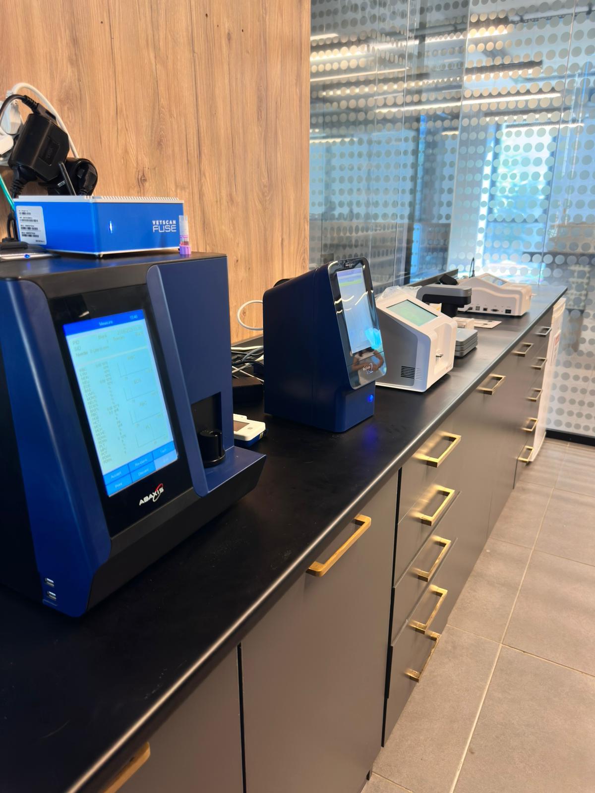 Lacivert Veteriner Klinik Görsel 30