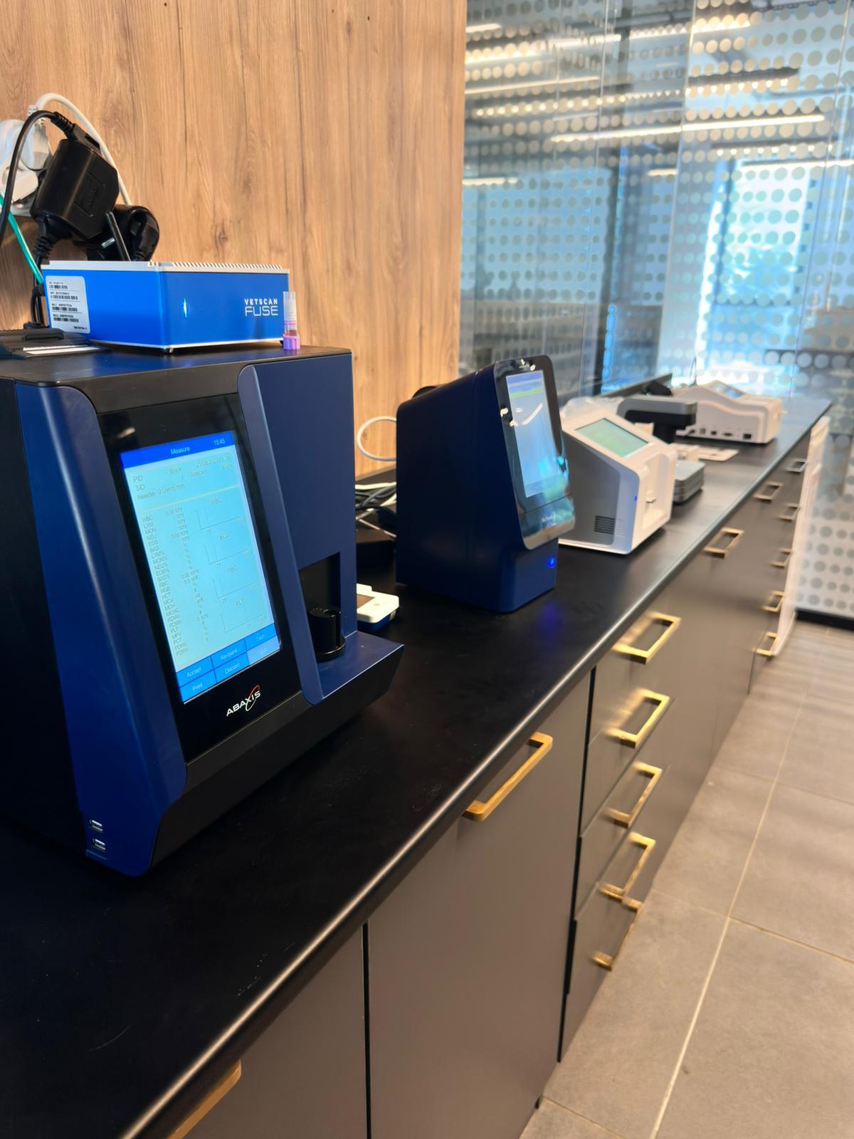 Lacivert Veteriner Klinik Görsel 33