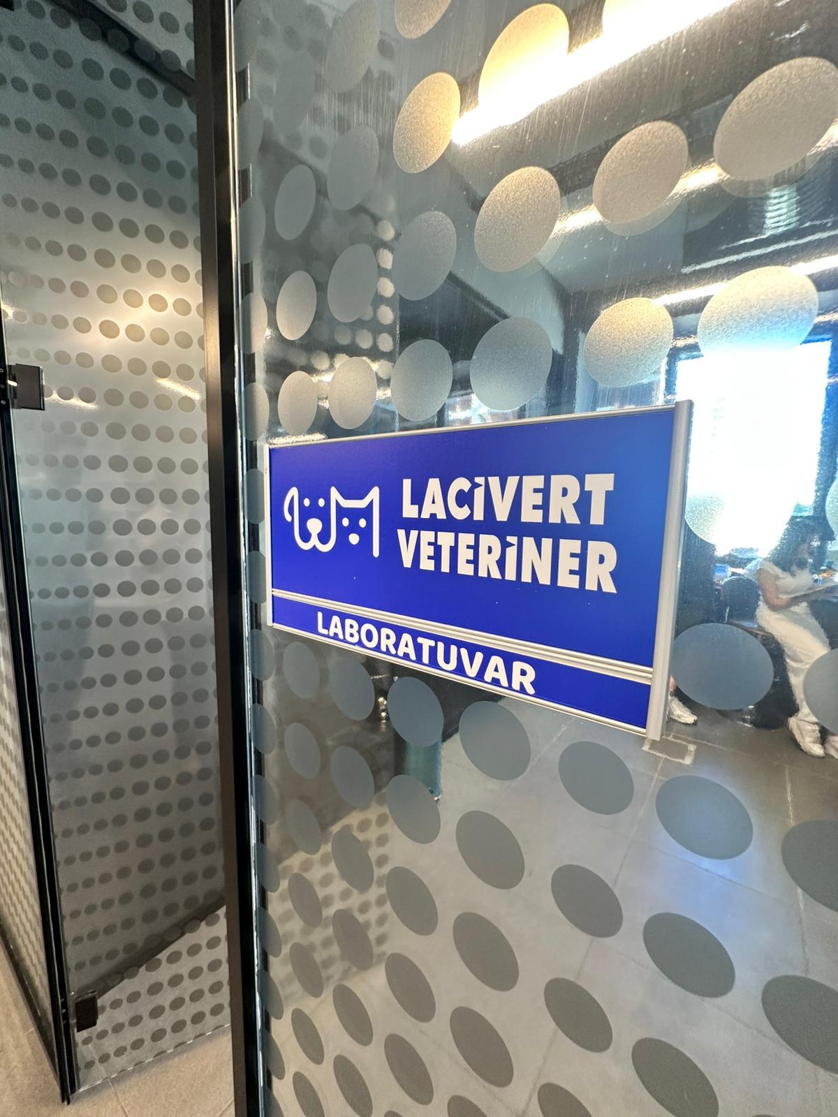 Lacivert Veteriner Klinik Görsel 35