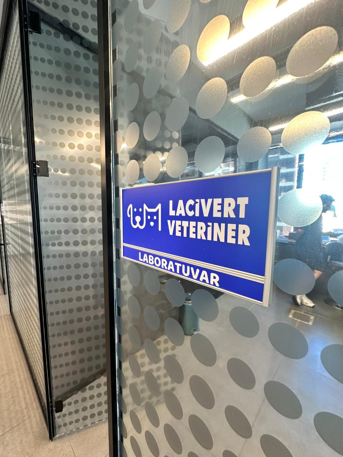 Lacivert Veteriner Klinik Görsel 39