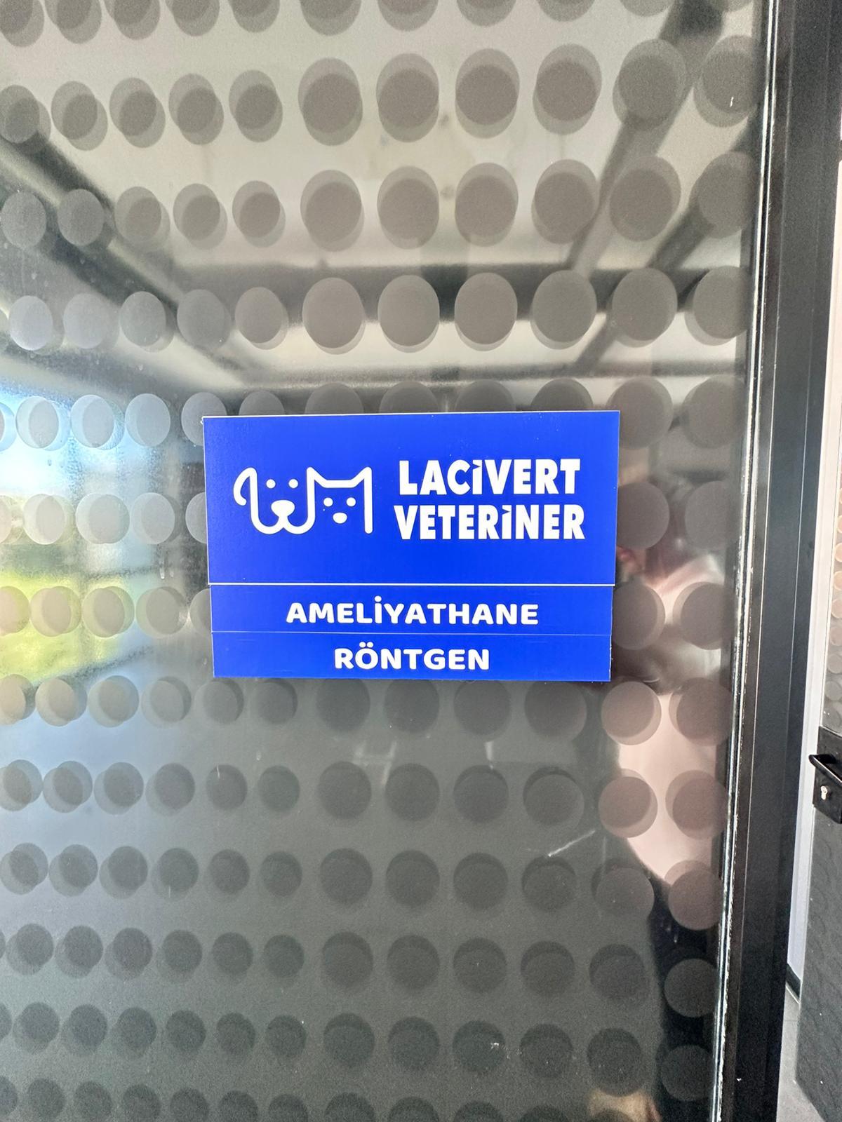 Lacivert Veteriner Klinik Görsel 41